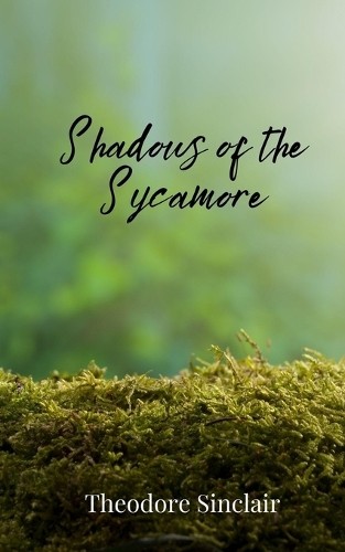 Theodore Sinclair Shadows of the Sycamore (Paperback) (UK IMPORT)