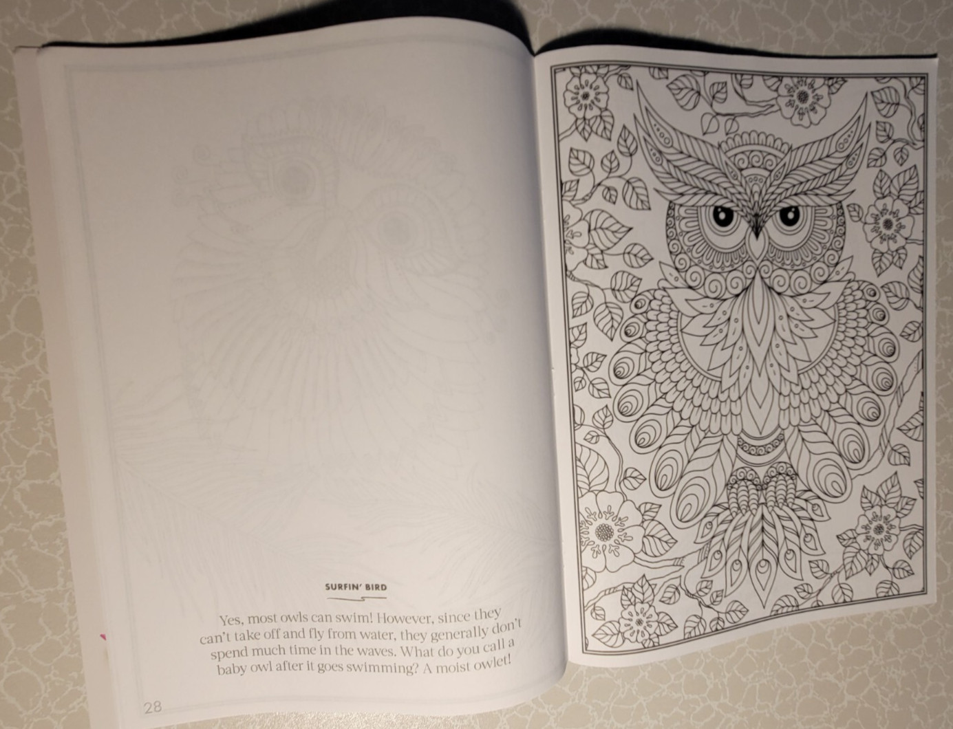 COLORING OWLS – ADULT COLORING BOOK – 32 INSPIRING DESIGNS TO COLOR
