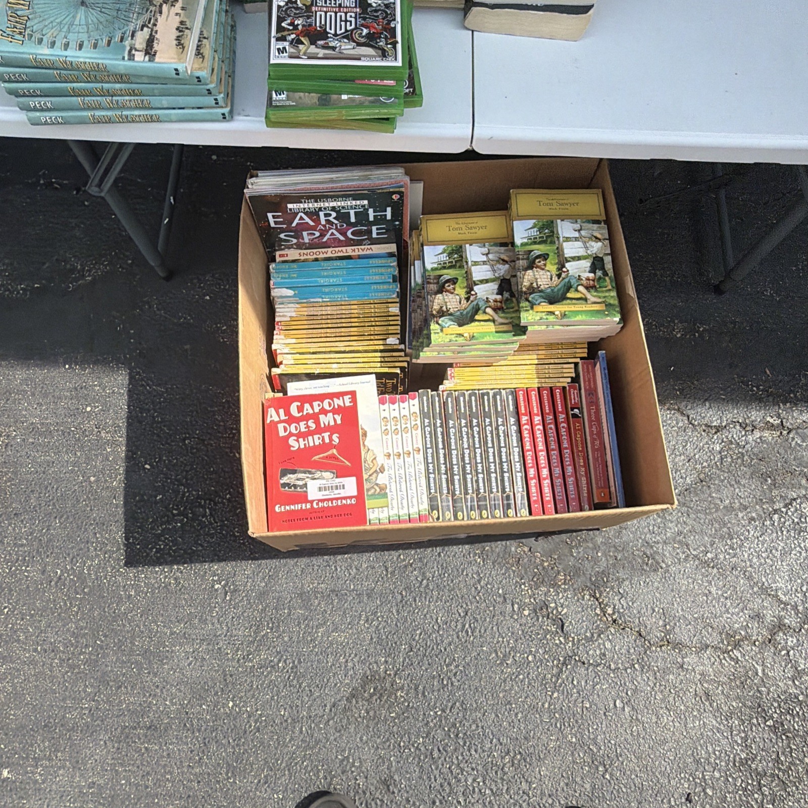 Bulk/Huge Lot of 50 Kids Chapter Books – Random – Free Shipping!