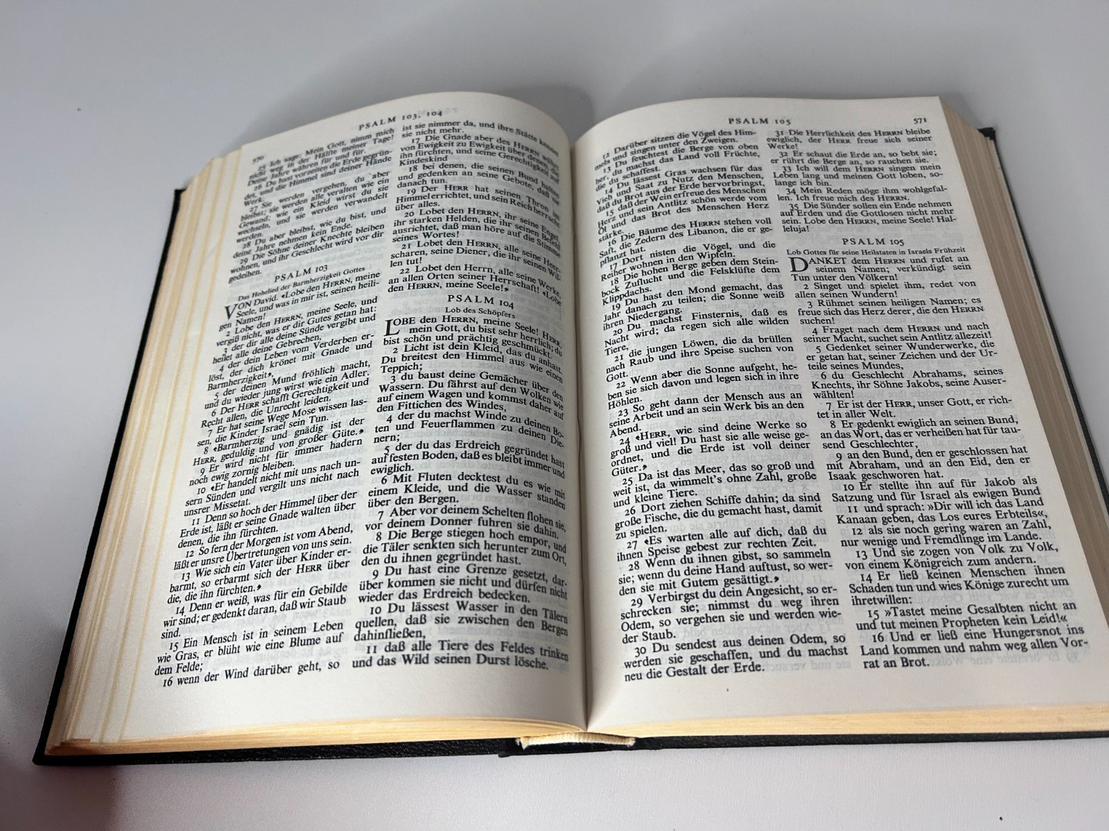 German Holy Bible – Die Heilige Schrift – Hardcover