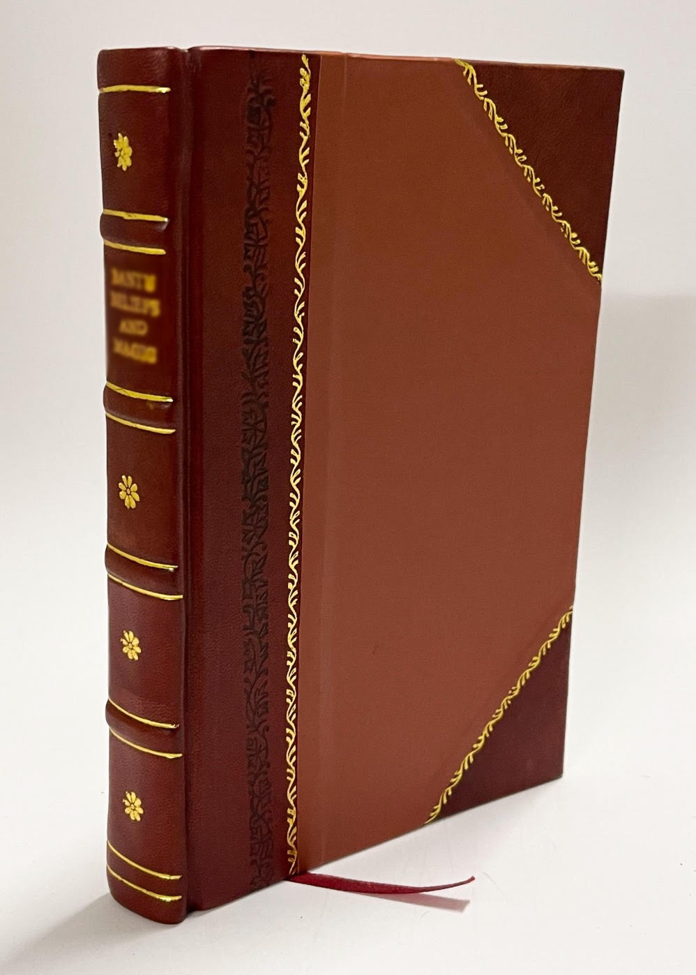 Living Pictures : Their History, Photo-Production and Practical [Leather Bound]