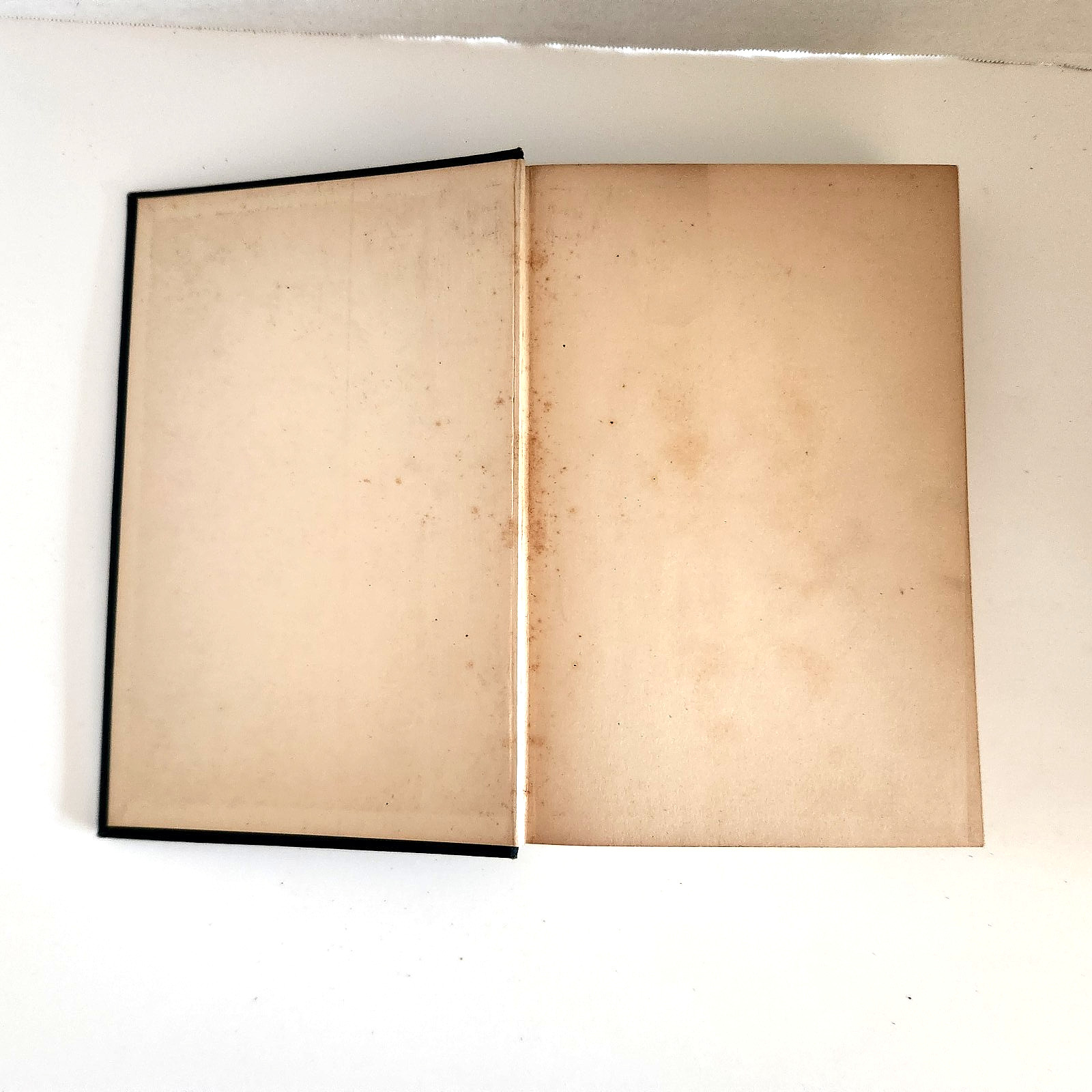 ANIMATED CARTOONS by E G Lutz 1925 Rare Book – Pioneer Work Inspired Disney
