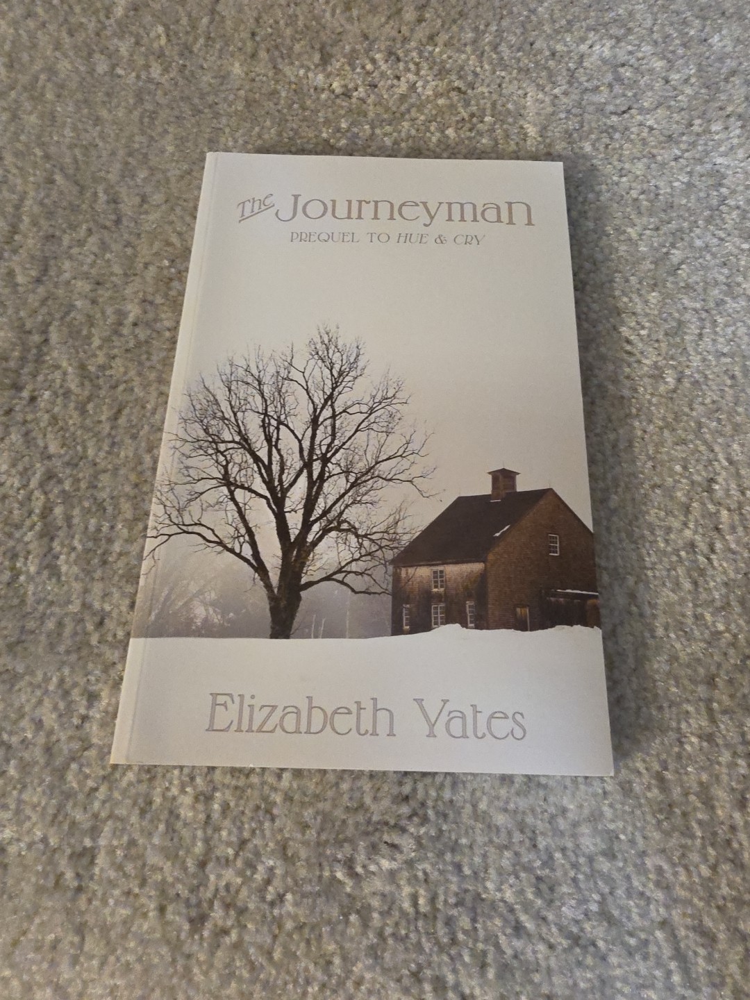 Elizabeth Yates The Journeyman Prequel to Hue & Cry Paperback YA Fiction