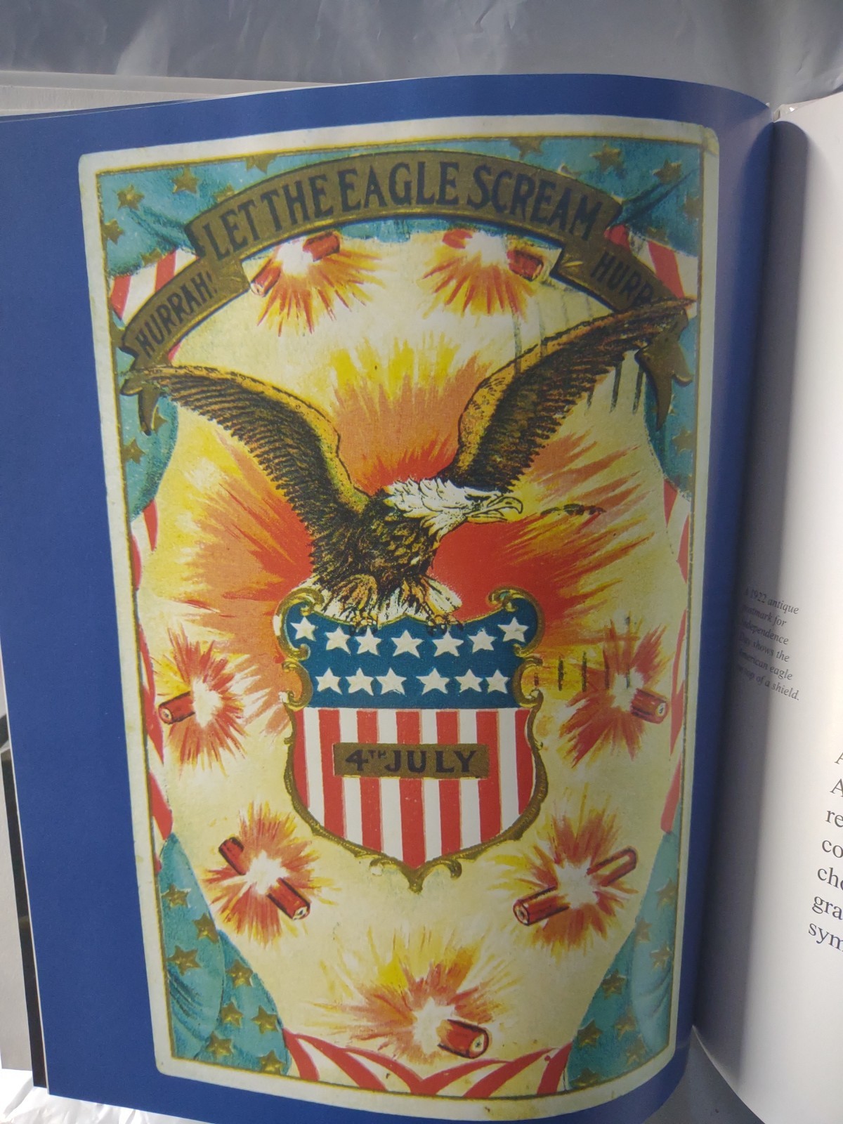 The American Eagle – Hardcover By John Wilson – The Childs World,1999