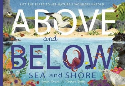Hannah Bailey Harriet Evan Above and Below: Sea and Shor (Paperback) (UK IMPORT)