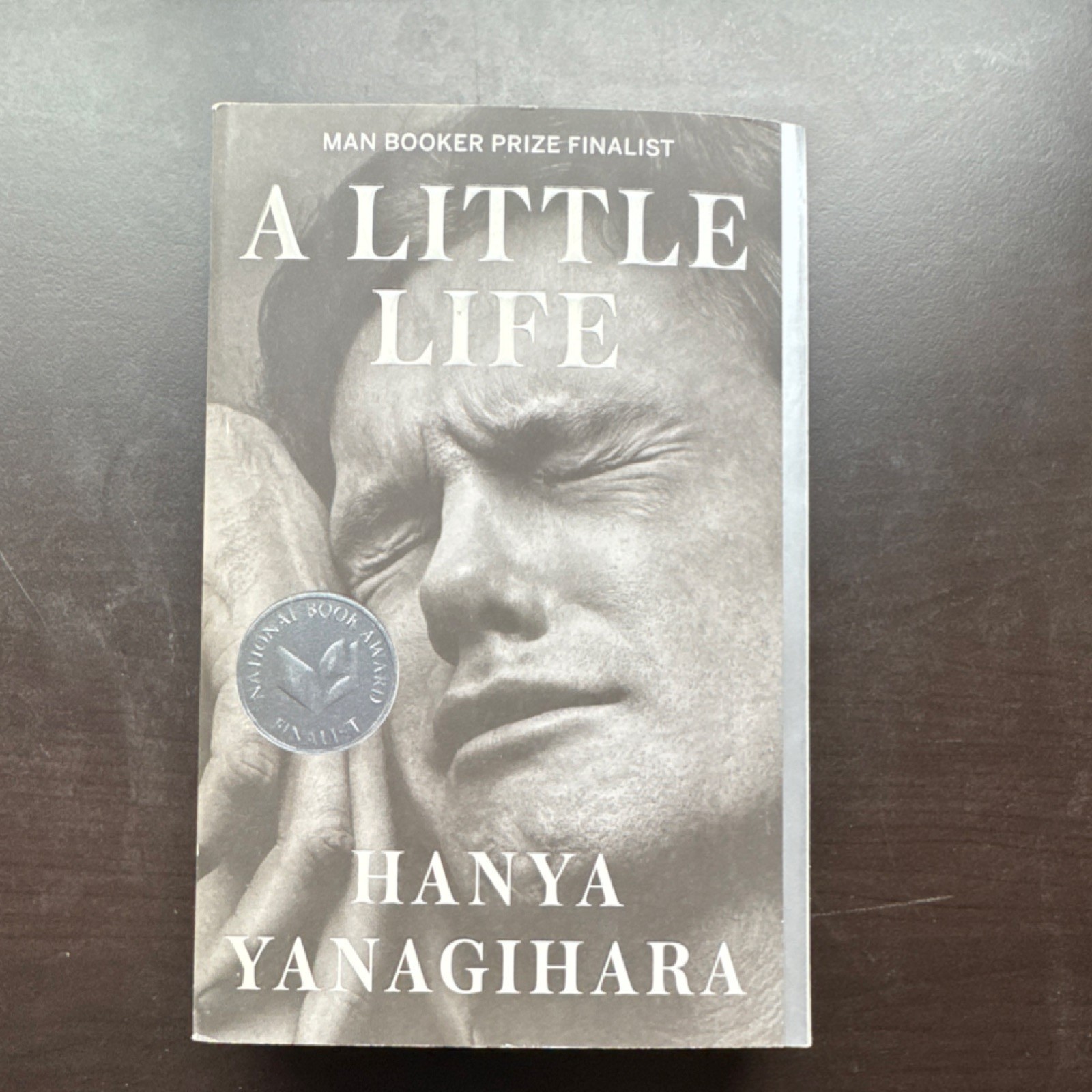 Hanya Yanagihara – A Little Life – Trade Paperback – English Fiction Novel