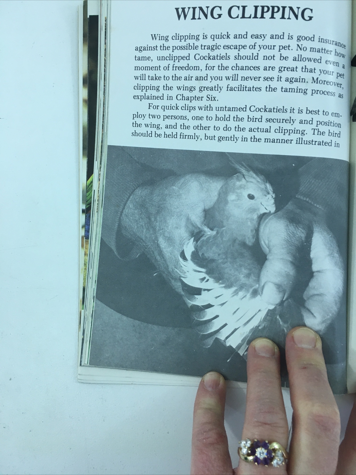 All About Cockatiels- Dr. Gerald R. Allen (Paperback, 1977)