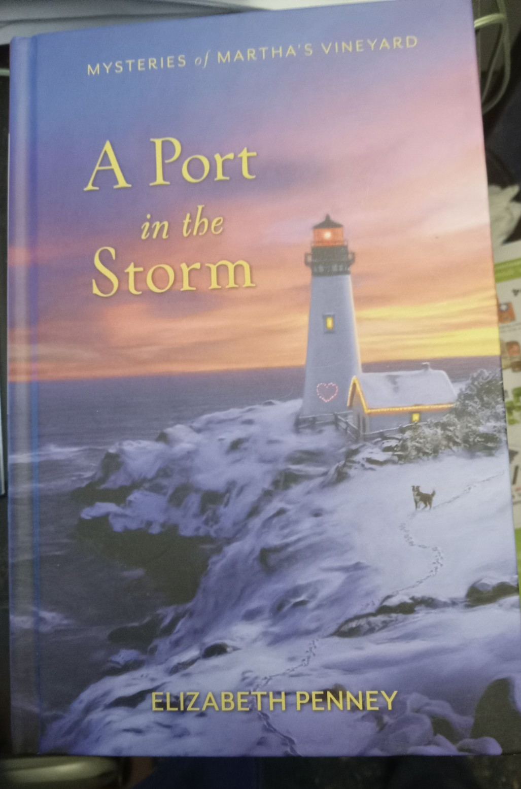 Mix of Guidebook Series Mysteries on Martha’s Vineyard, Silver Peak, BH Library