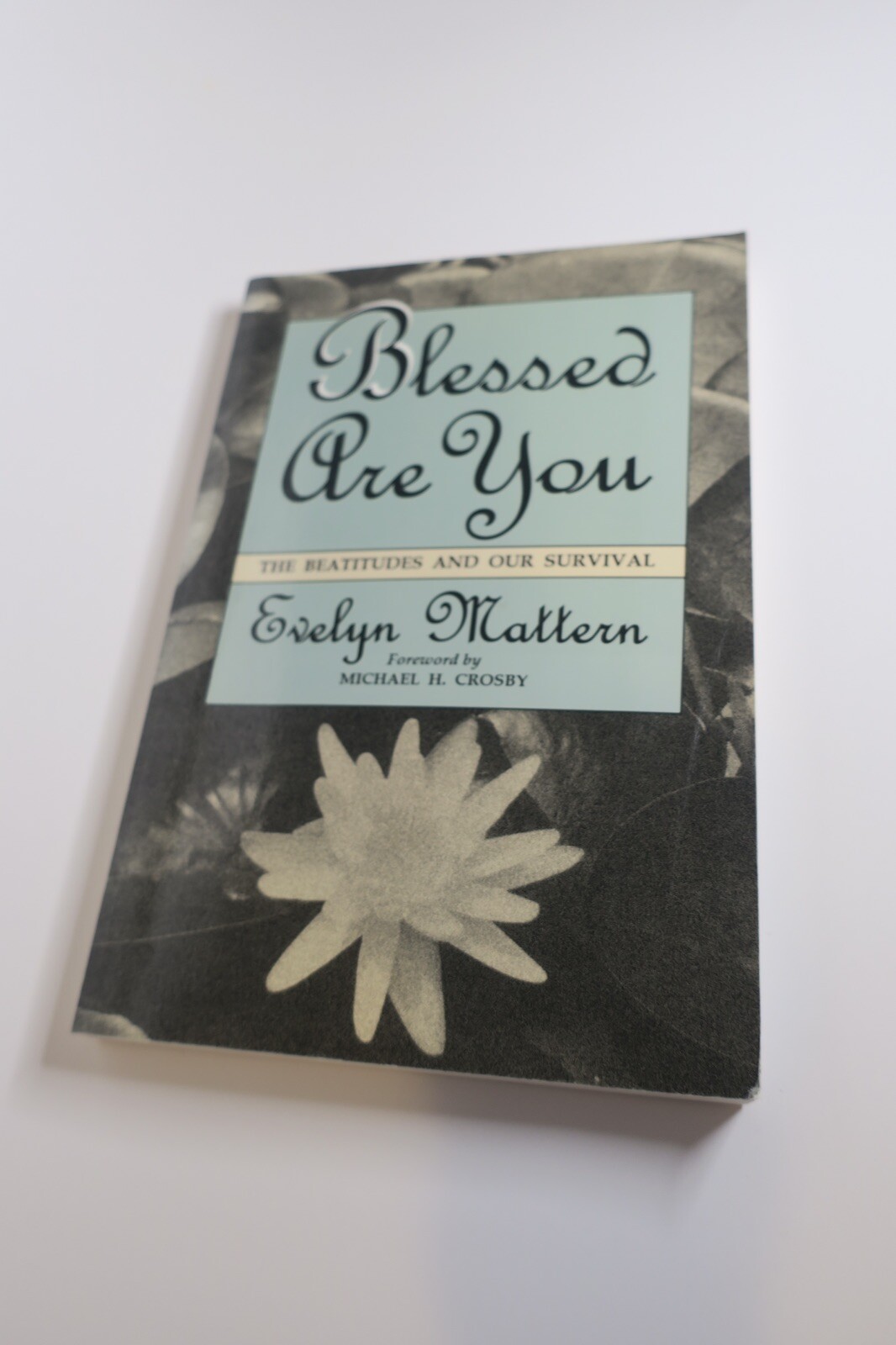 BLESSED ARE YOU: THE BEATITUDES AND OUR SURVIVAL By Evelyn Mattern Pre-Owned