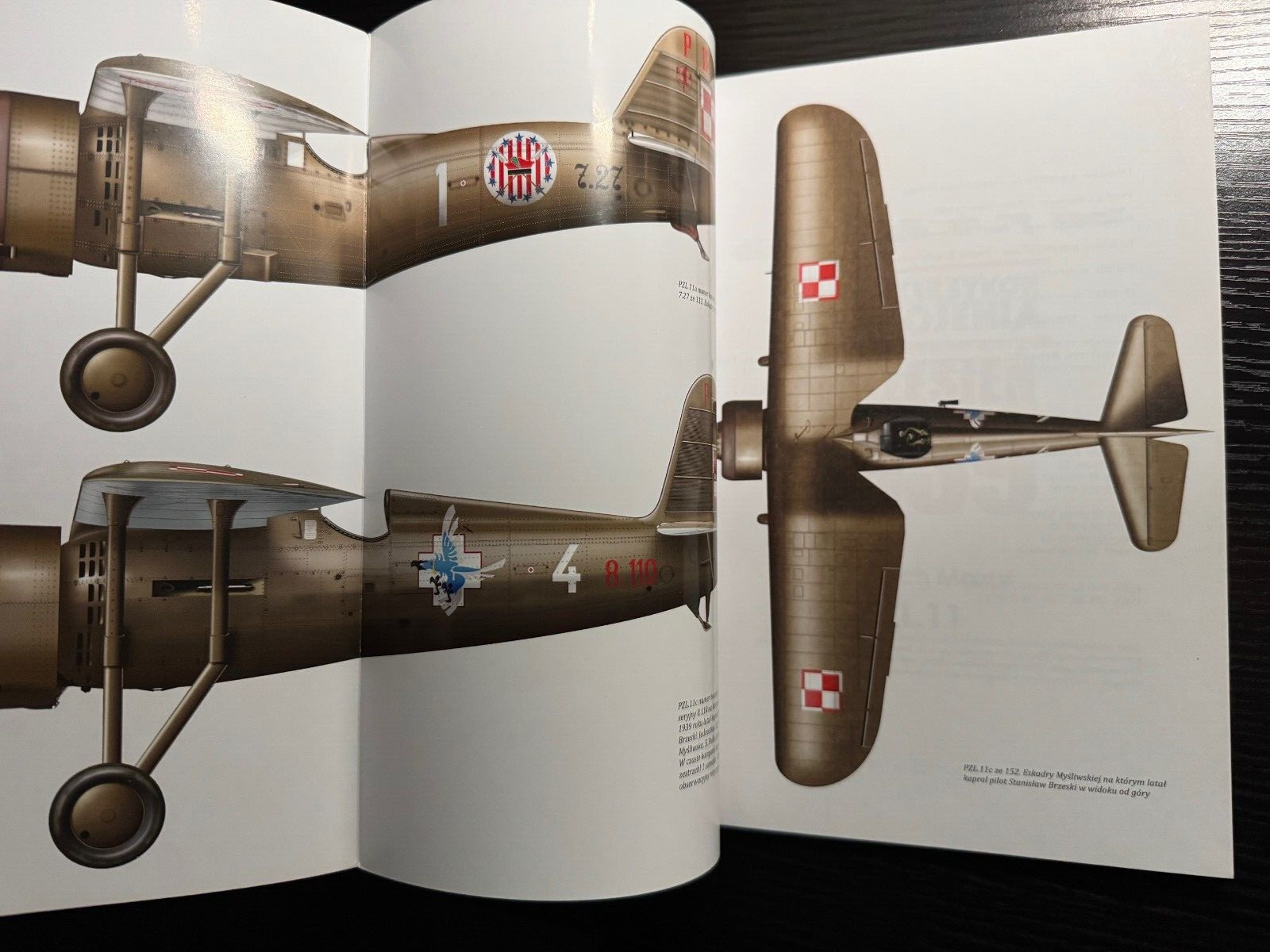 Wrzesien 1939 FIGHTER PZL.11 in Polish