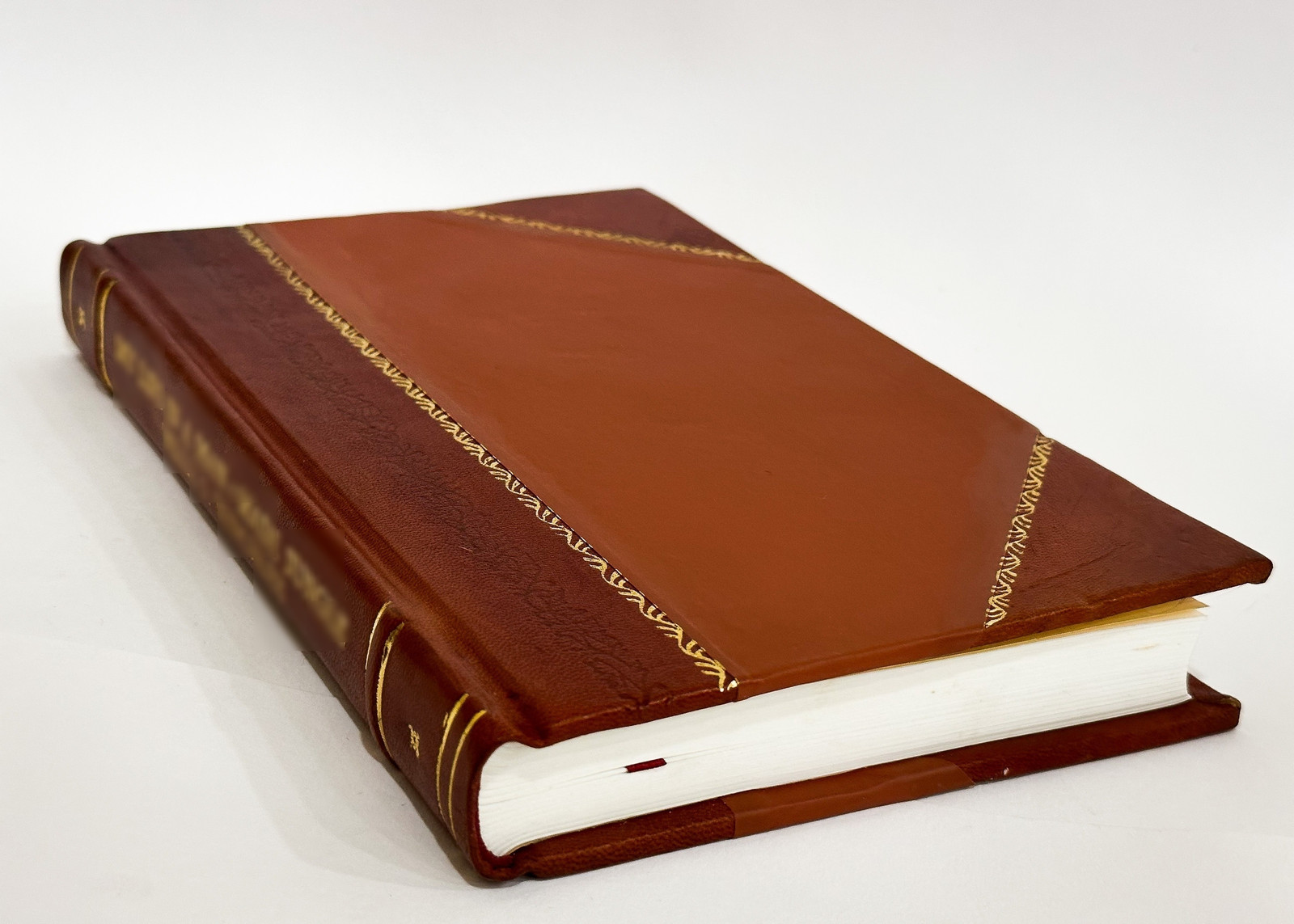 The Pioneers : a Narrative of Facts Connected with Early Christ [Leather Bound]