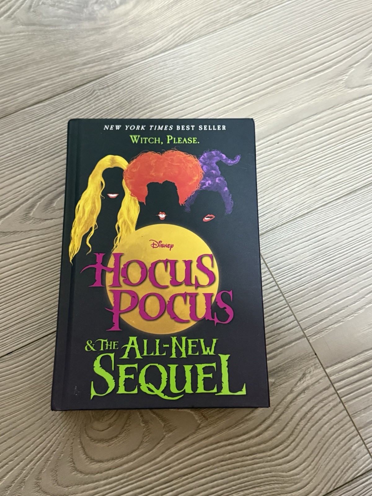 Hocus Pocus and the AllNew Sequel by A. W. Jantha (2018, Hardcover)