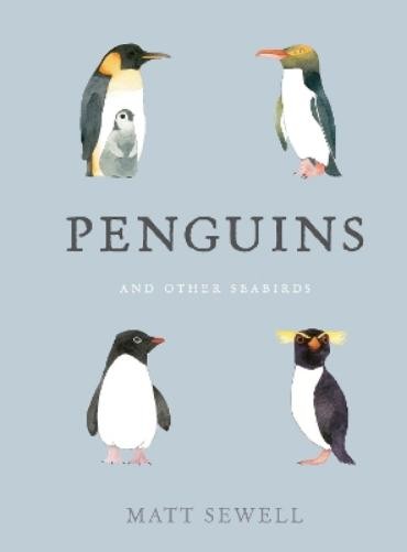 Matt Sewell Penguins and Other Seabirds (Hardback)