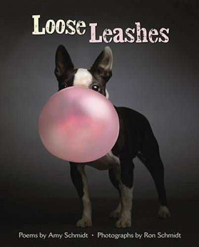 Loose Leashes – Hardcover By Schmidt, Amy – GOOD