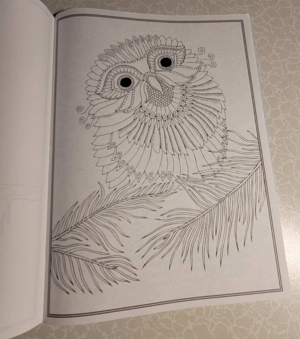 COLORING OWLS – ADULT COLORING BOOK – 32 INSPIRING DESIGNS TO COLOR