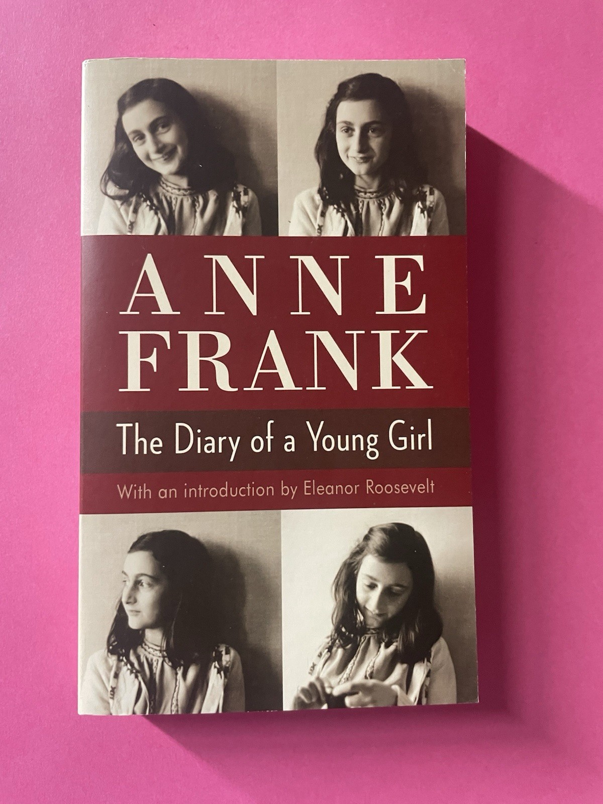 Anne Frank The Diary of a Young Girl