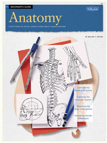 Beginner’s Guide: Anatomy Drawing Paperback Book by Walter T. Foster
