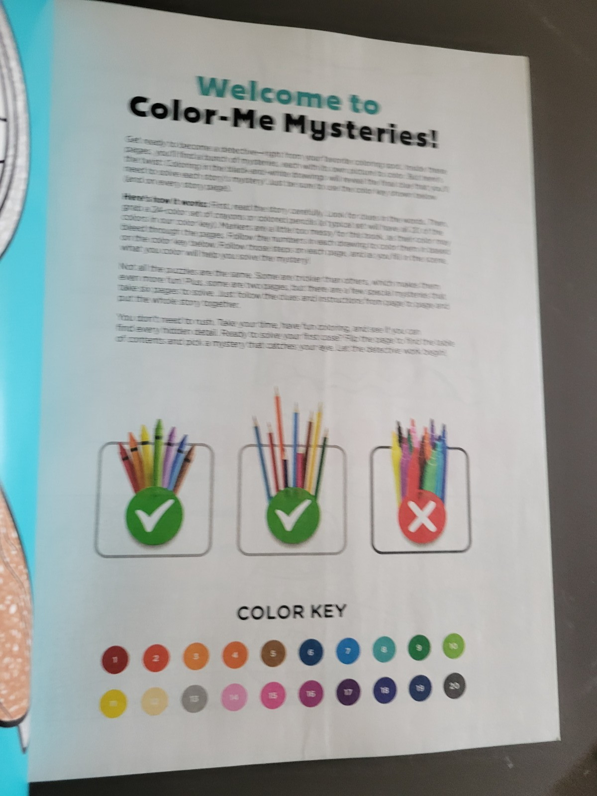 Choice of 2 Color Me Mysteries – Coloring & Activity Book – Teen & Adult Sleuths