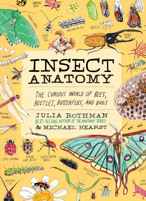 Insect Anatomy: The Curious World Of Bees, Beetles, Butterfl…