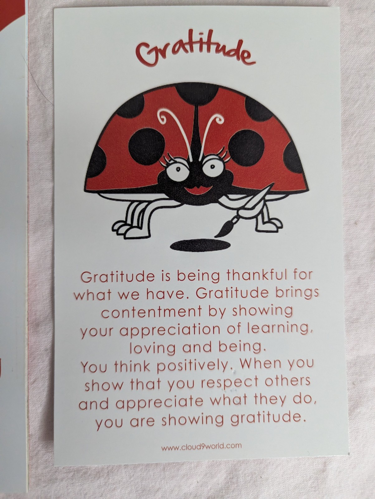 Home School Teachers Cloud 9 world character book GRATITUDE kindergarten -1st