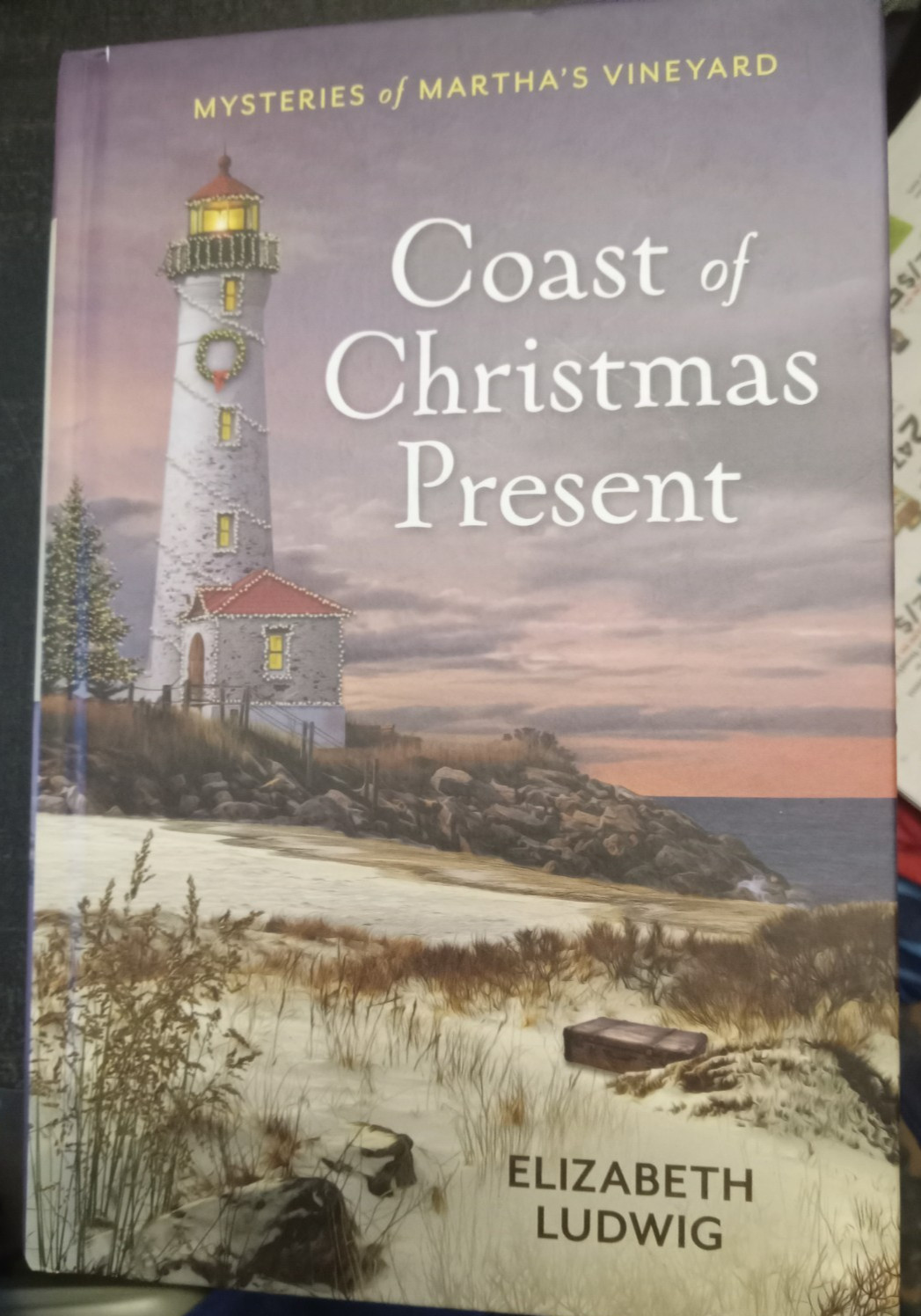 Mix of Guidebook Series Mysteries on Martha’s Vineyard, Silver Peak, BH Library