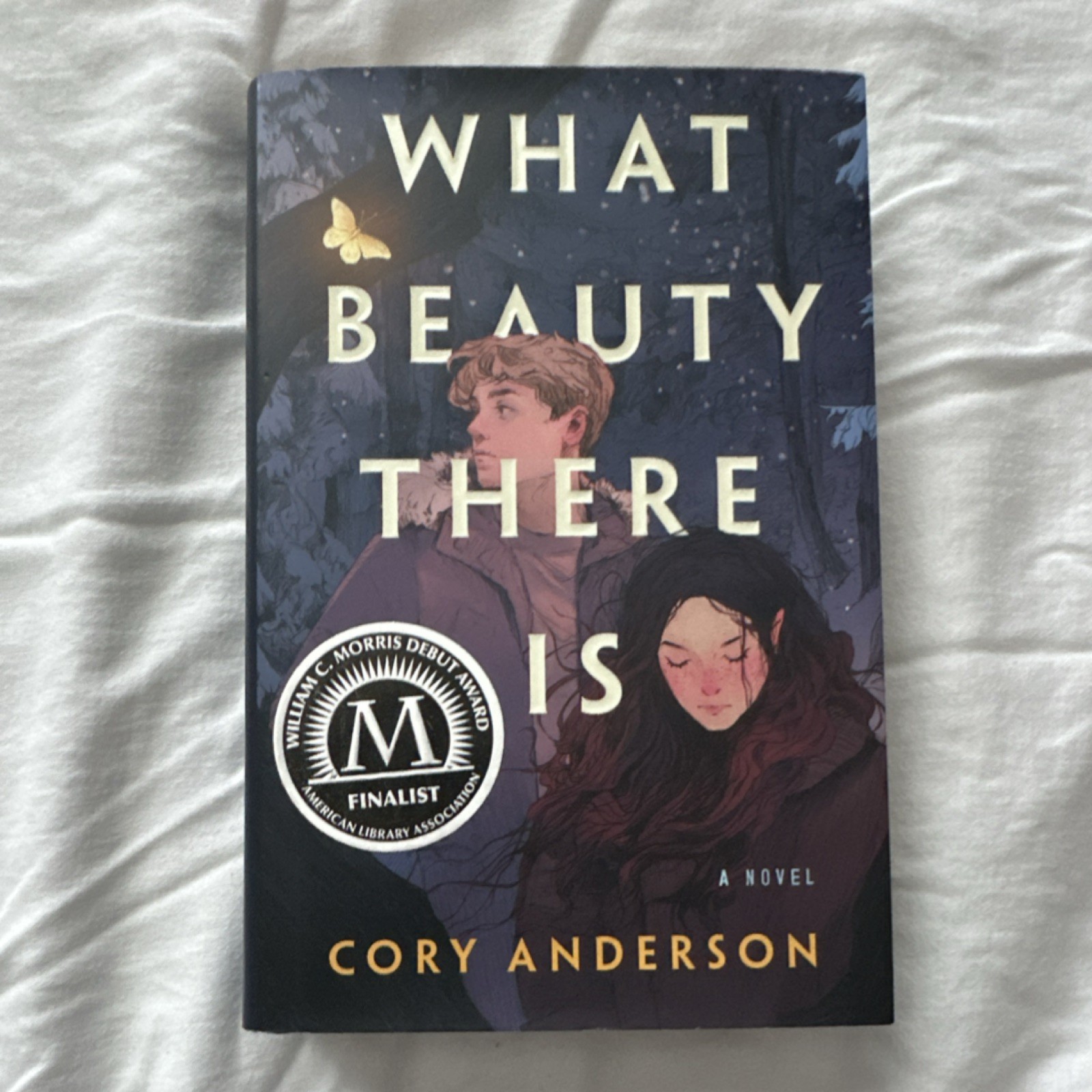 What Beauty There Is by Cory Anderson Hardcover Roaring Brook Press YA Thriller