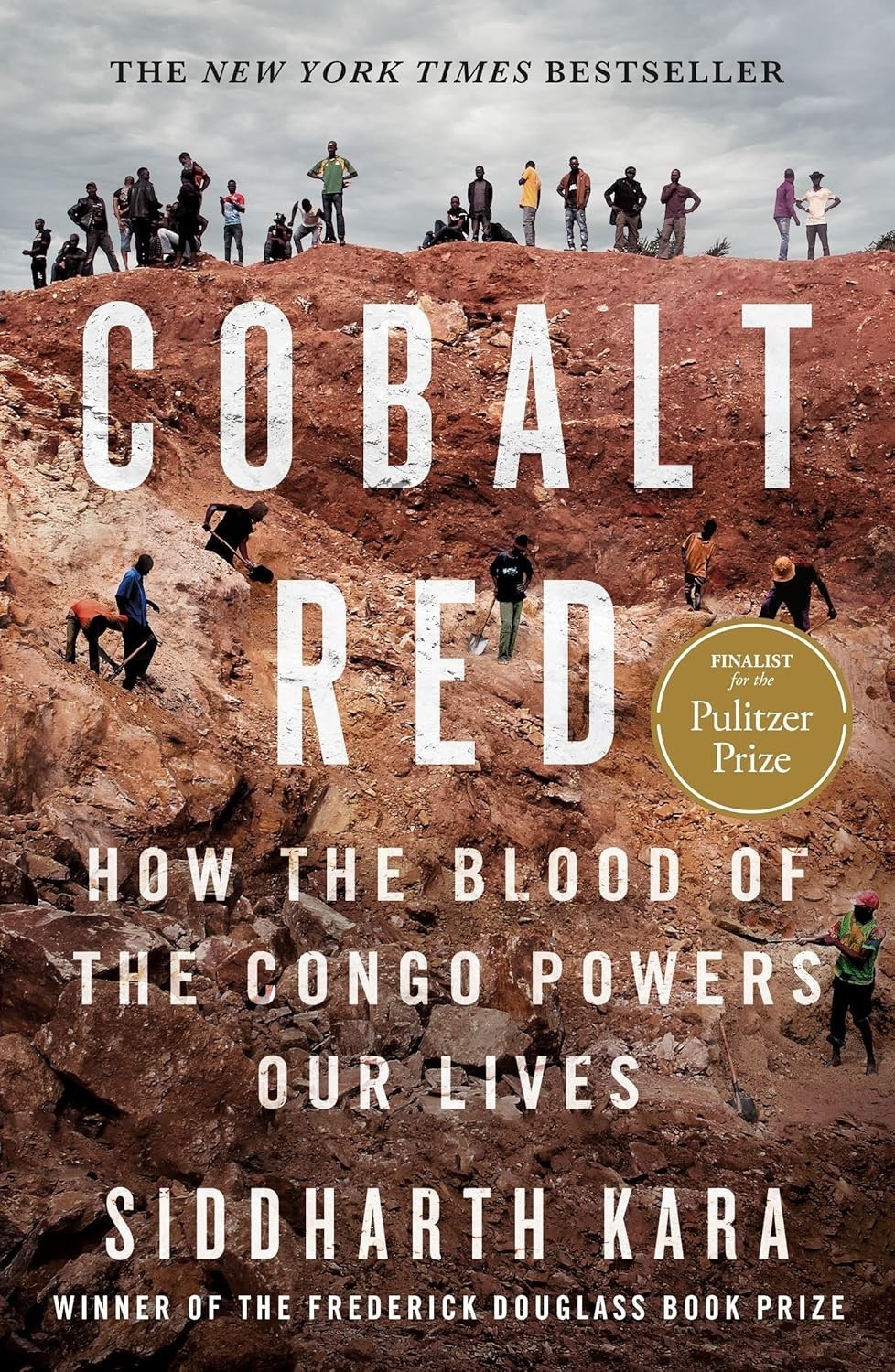 Cobalt Red : How the Blood of the Congo Powers Our Lives by Siddharth Kar PB