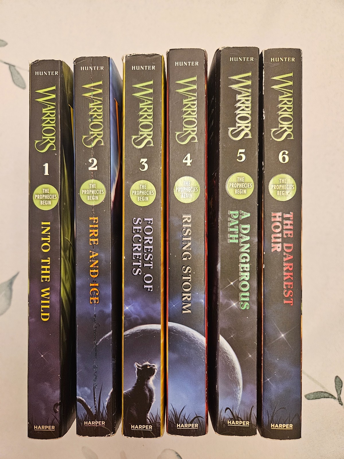 Set Of All 6 Erin Hunter Warriors Books 1st Series “The Prophecies Begin”