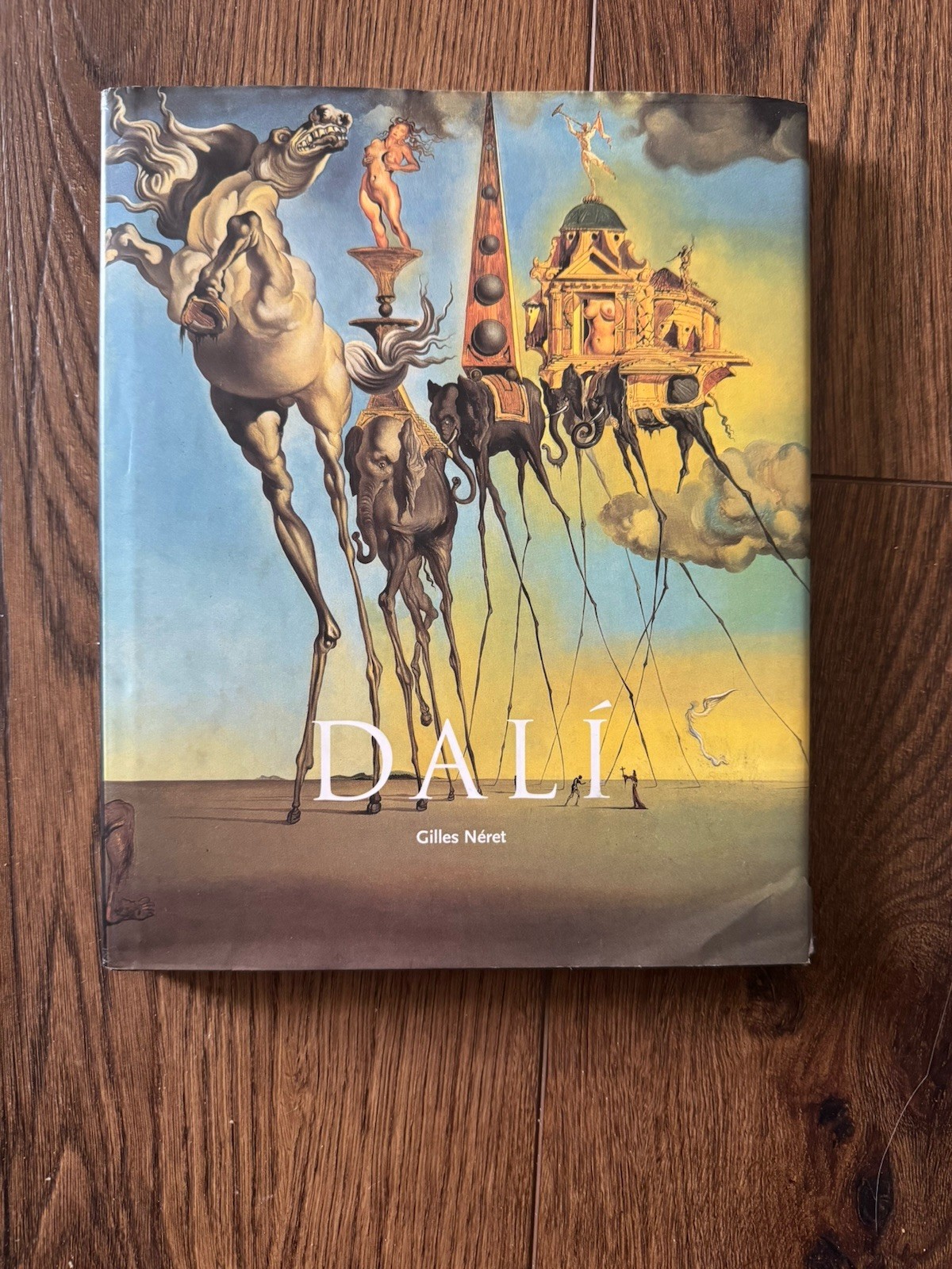 Salvador Dali 1904-1989 Hardcover Book Gilles Neret Barnes & Noble Surrealism HC