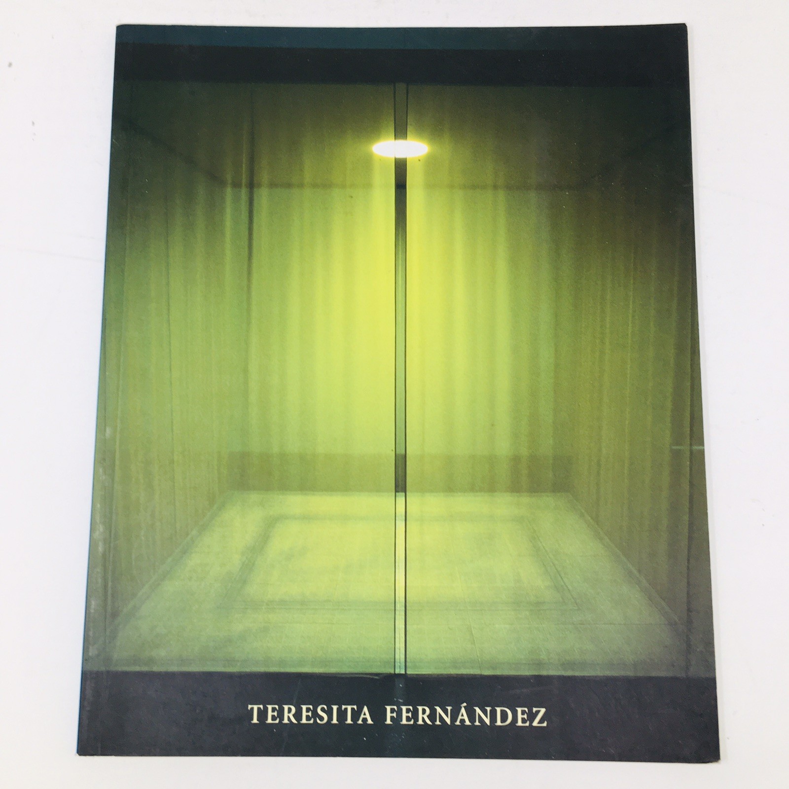 Teresita Fernández Art Book Institute of Contemporary Art 1999 Philadelphia