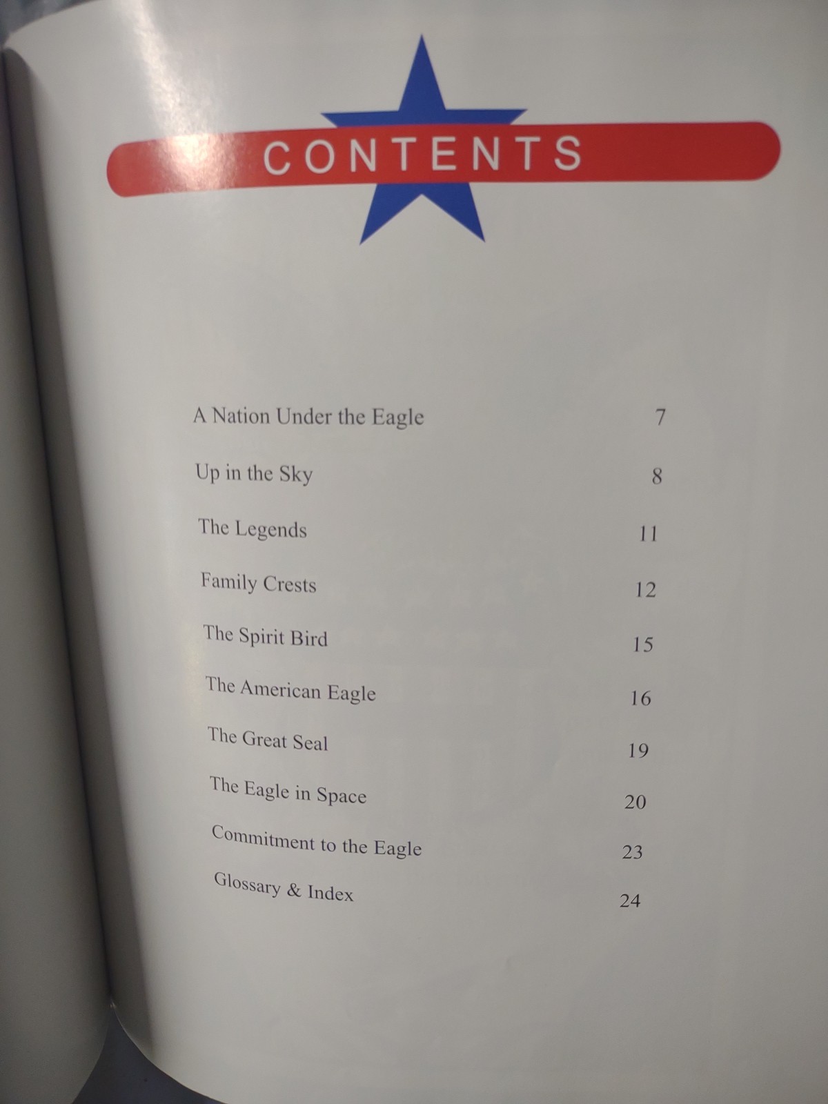 The American Eagle – Hardcover By John Wilson – The Childs World,1999