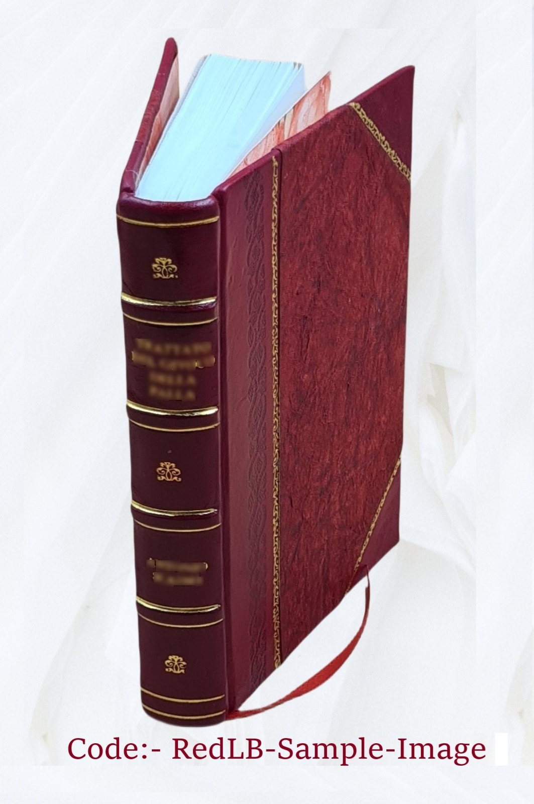 Your Home And Family 1934 By Mildred Graves Ryan, Marjorie M. Ott [Leather Bound