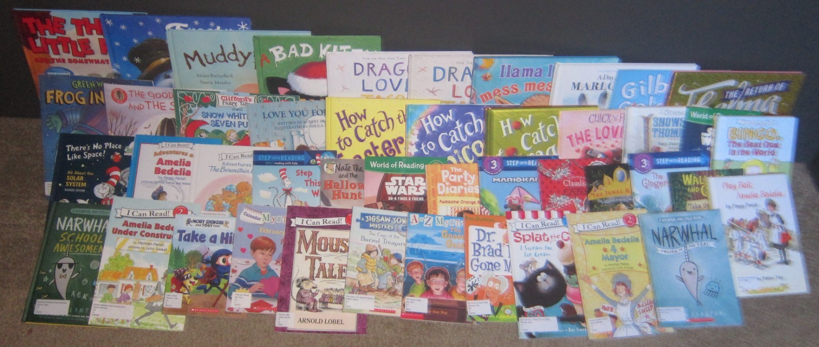 50 AR Accelerated Reader Titles – Reading Levels 1.8 – 3.4 Labeled & Ready!