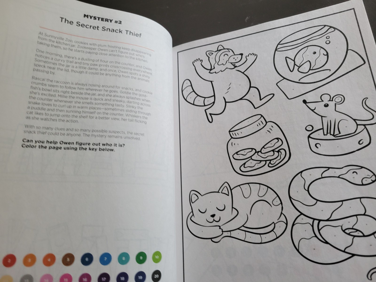 Choice of 2 Color Me Mysteries – Coloring & Activity Book – Teen & Adult Sleuths