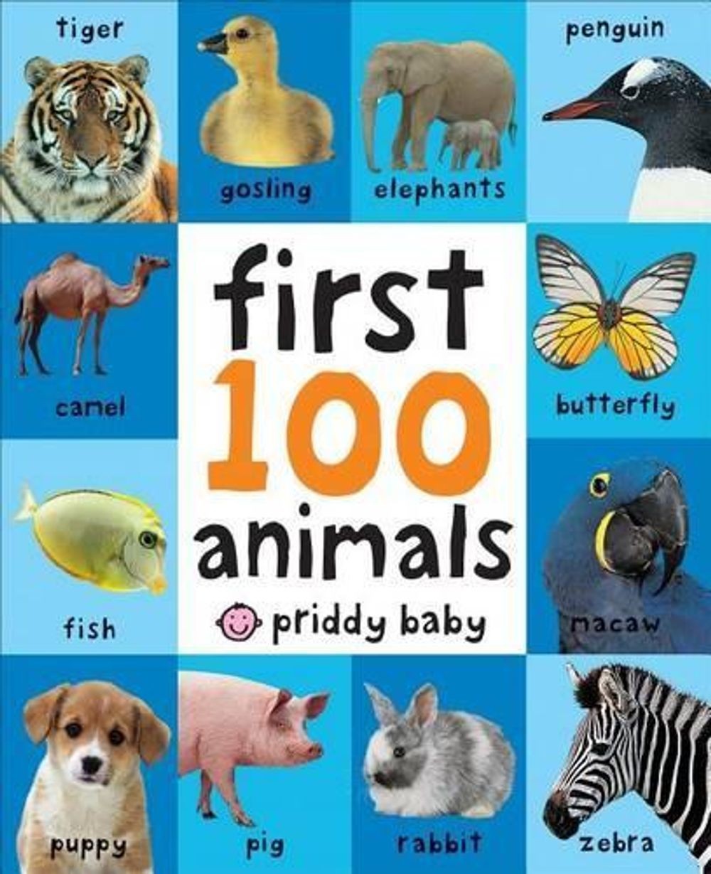 First 100 Big Board: Animals: In the Bestselling First 100 Series by Roger Pridd