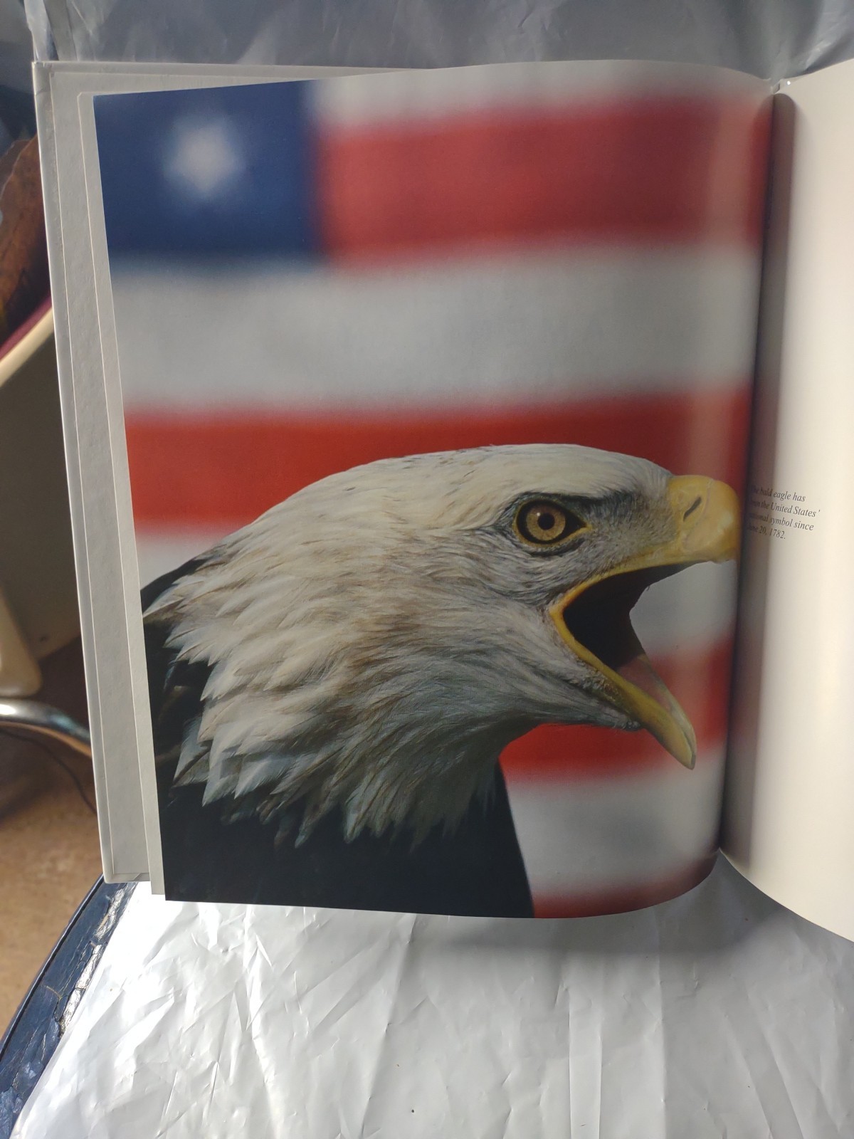 The American Eagle – Hardcover By John Wilson – The Childs World,1999