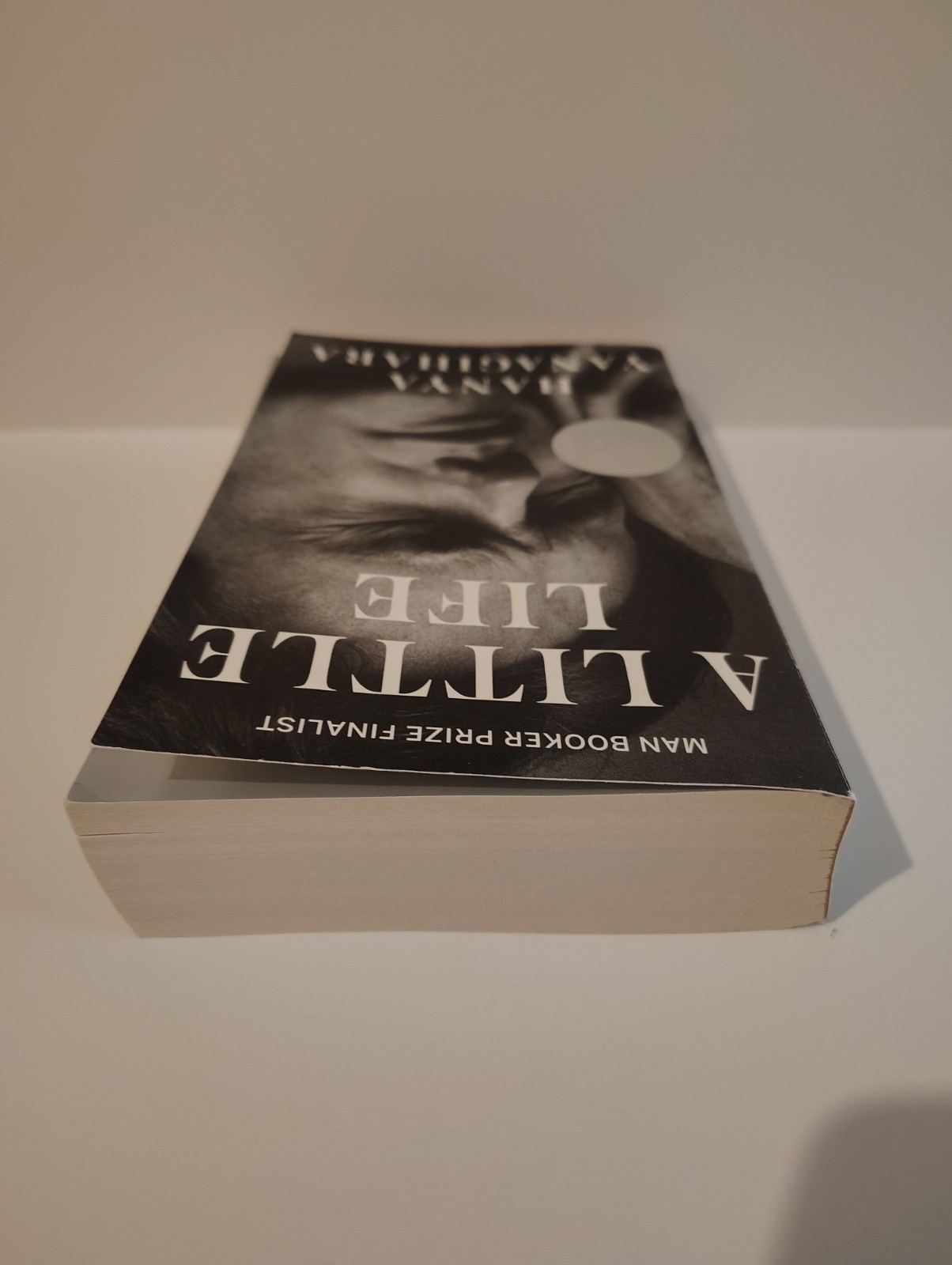 A Little Life by Hanya Yanagihara