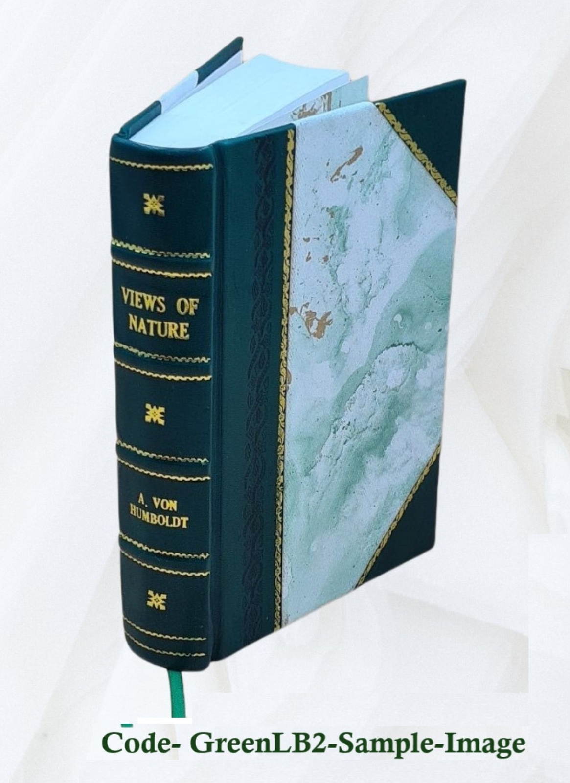 Your Home And Family 1934 By Mildred Graves Ryan, Marjorie M. Ott [Leather Bound