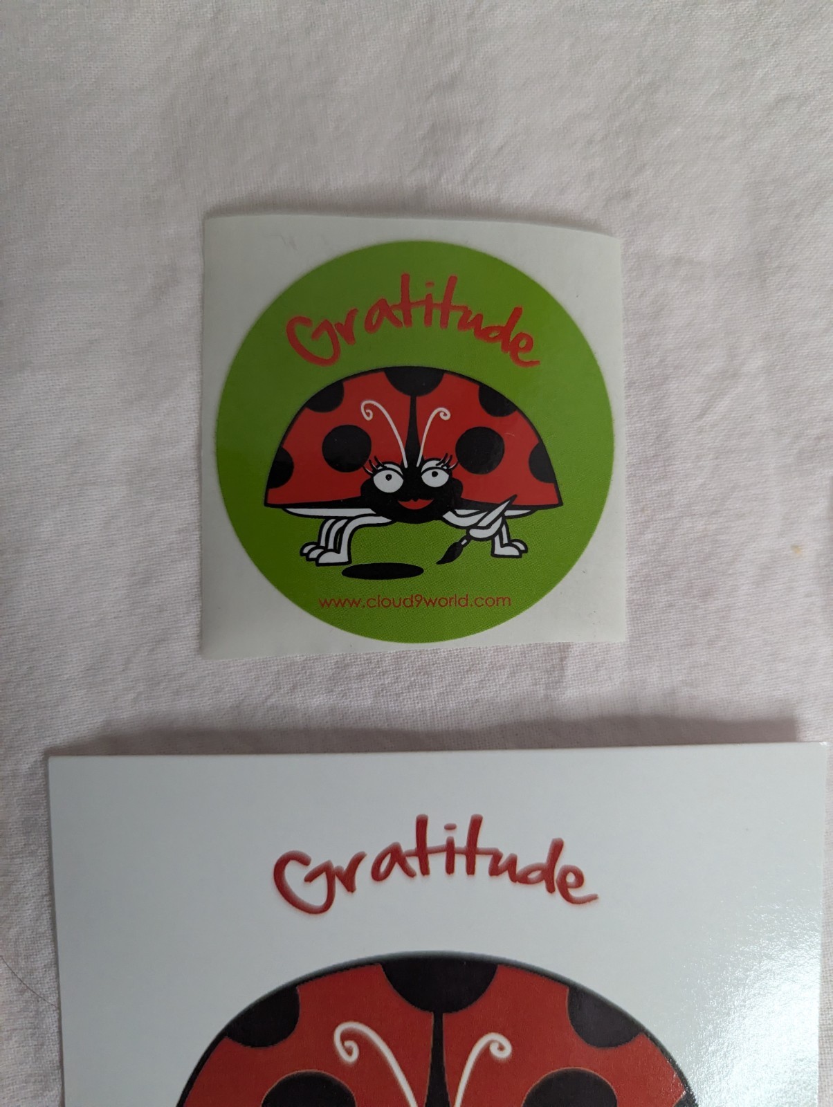 Home School Teachers Cloud 9 world character book GRATITUDE kindergarten -1st