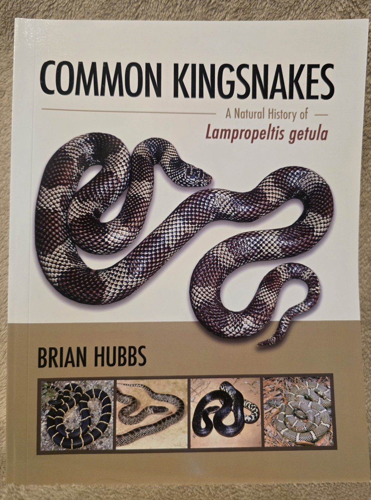 Common Kingsnakes By Brian Hubbs “OUT OF PRINT’ new