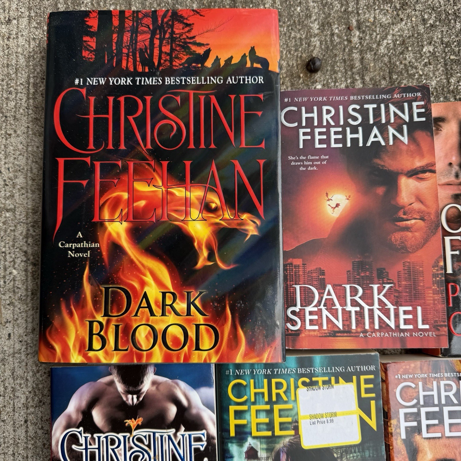 Lot of 12 Christine Feehan Paranormal Romance Fantasy Novels Paperback Books
