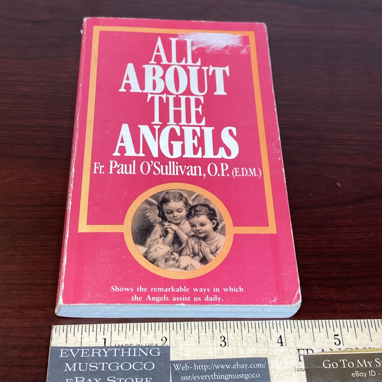 All about the Angels by Paul O’Sullivan (1991, Trade Paperback)