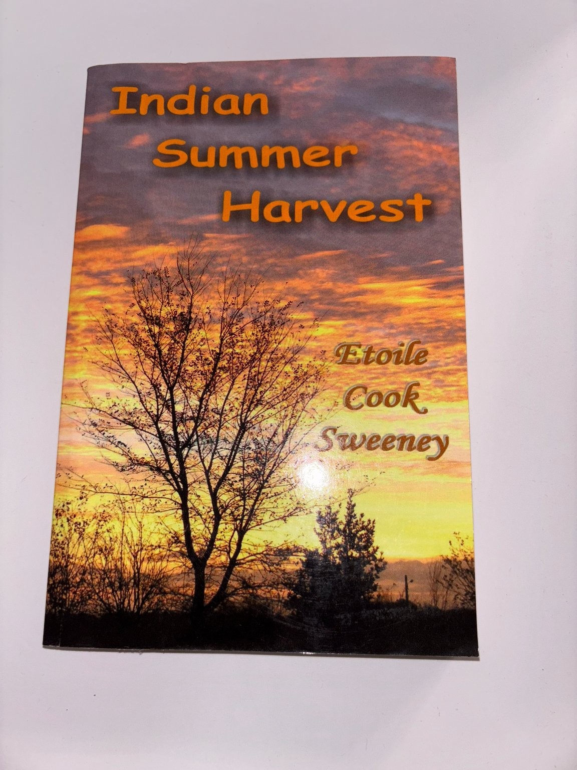 Indian Summer Harvest Etoile Cook Sweeney 2007 Fiction Lulu.com