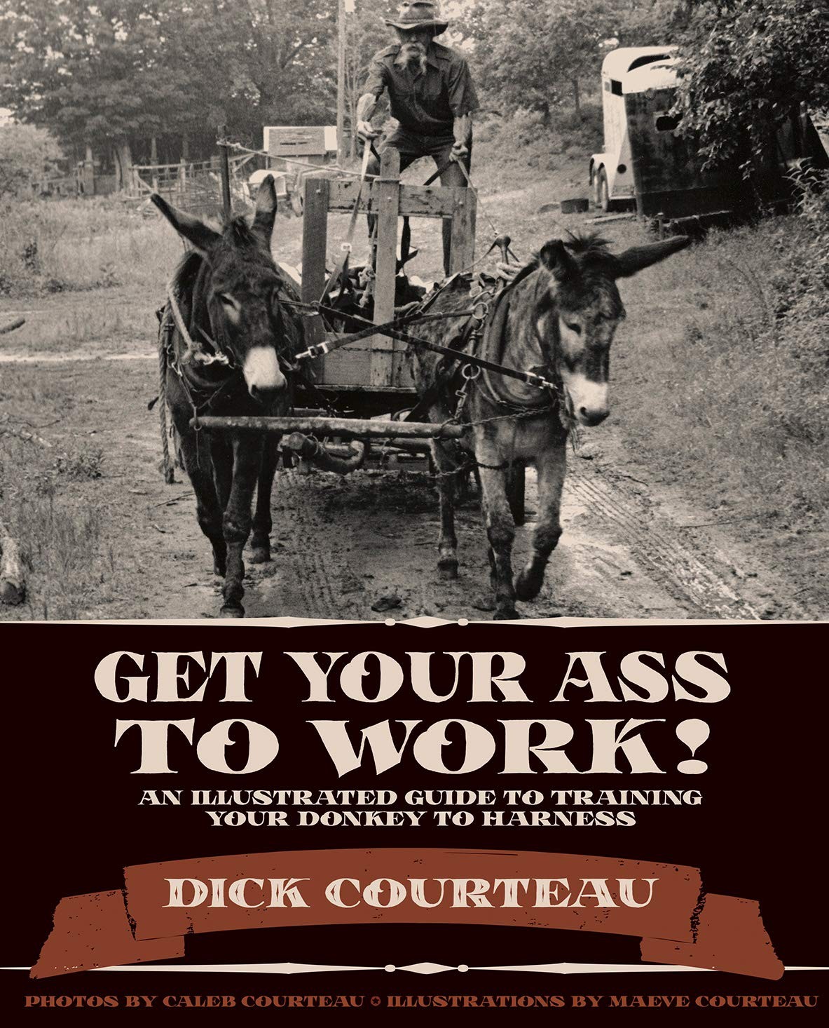 GET YOUR ASS TO WORK!: AN ILLUSTRATED GUIDE TO TRAINING YOUR DONKE… Dick Court