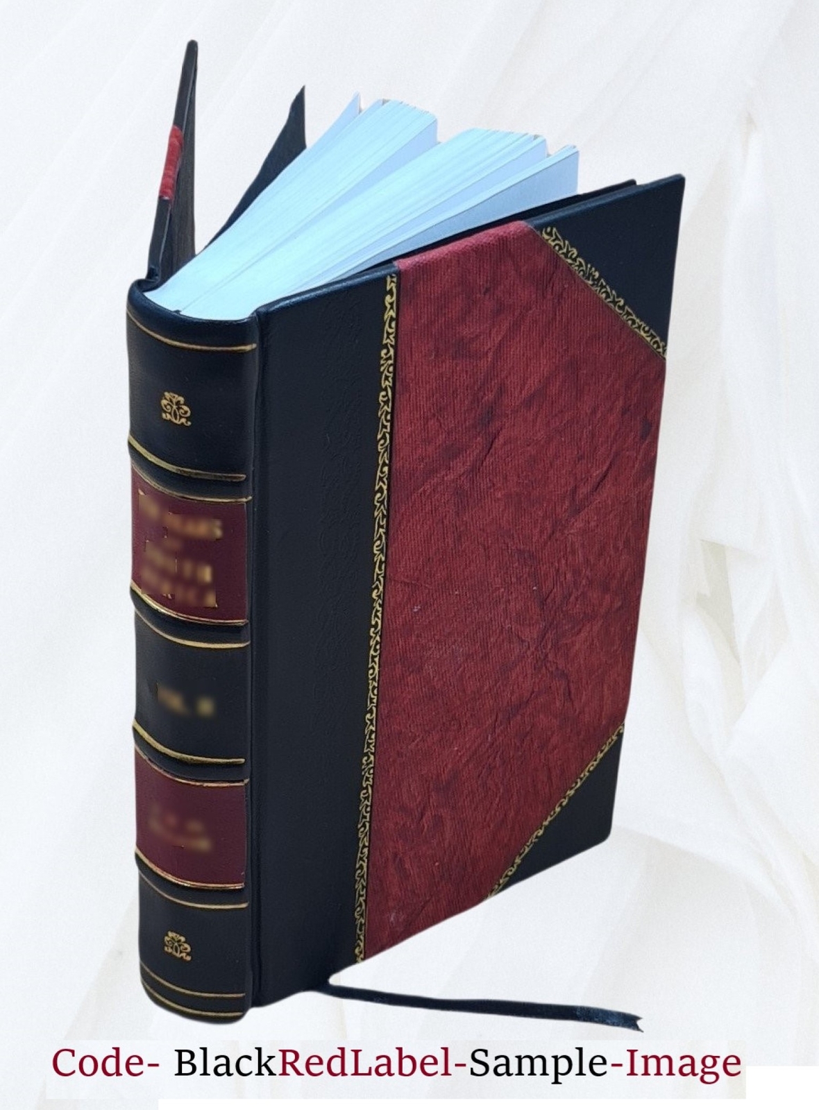 Evenings with the doctrines. By Nehemiah Adams … 1861 [Leather Bound]