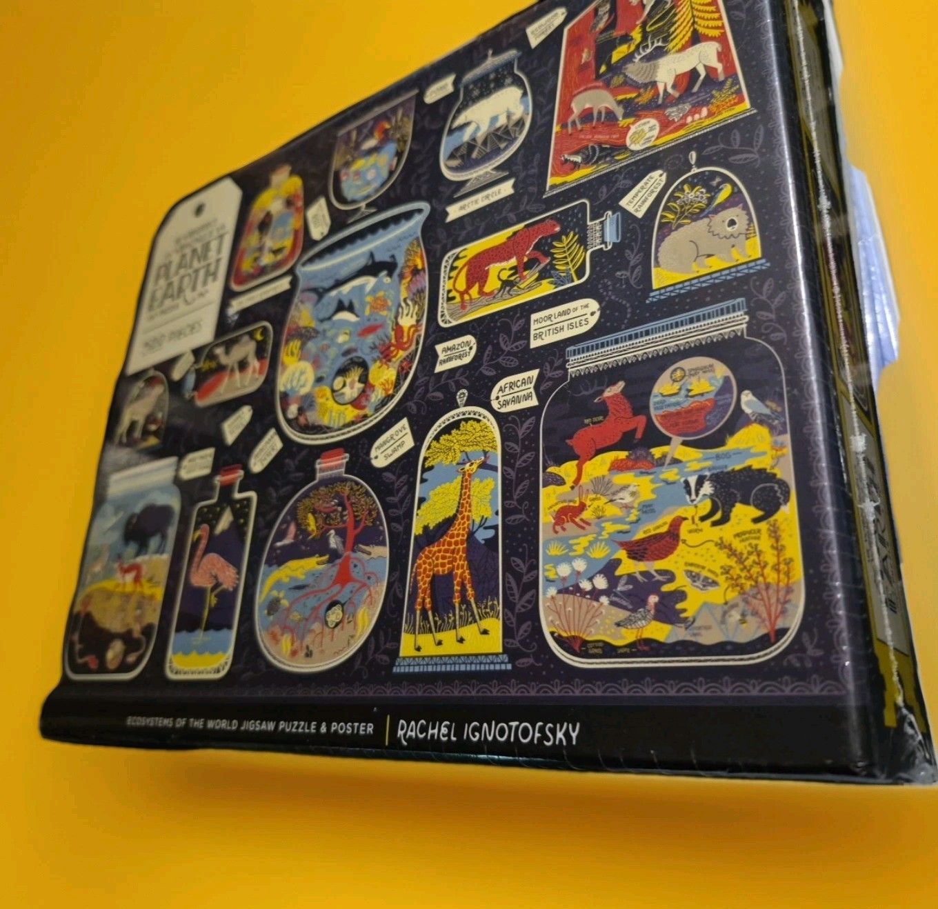 Wondrous Workings Of Planet Earth Puzzle By Rachel Ignotofsky, Puzzle And Poster