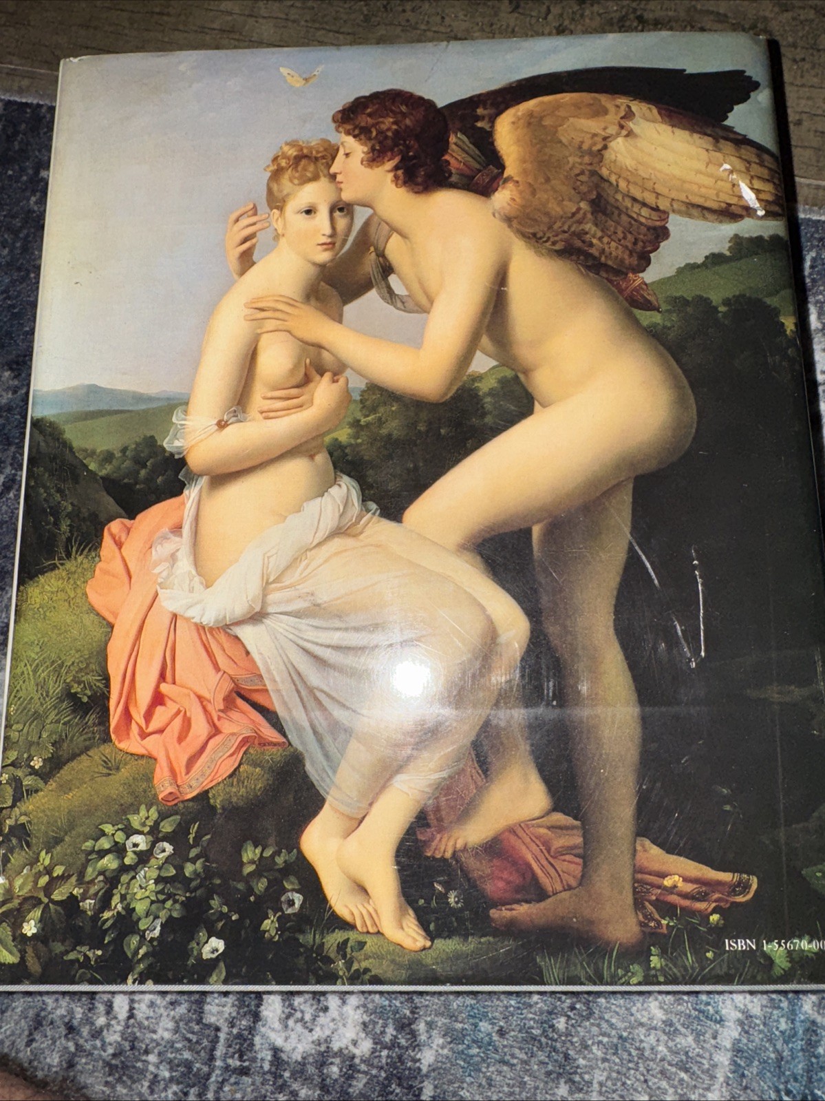 Paintings in the Louvre by Lawrence Gowing (1994, Hardcover)
